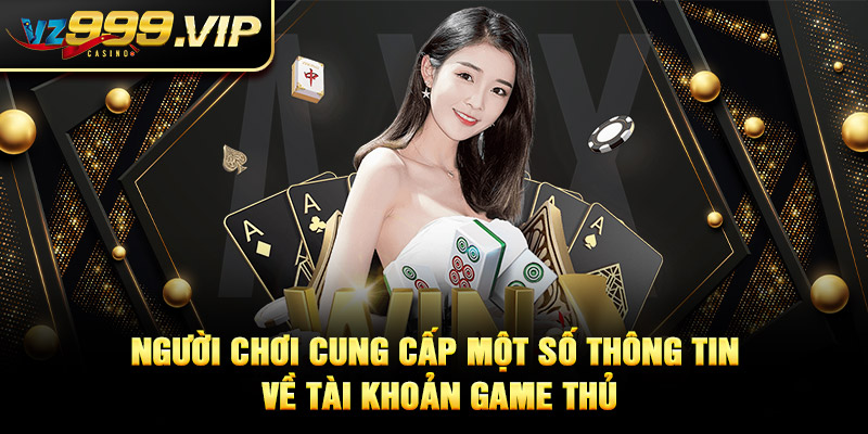 Người chơi cung cấp một số thông tin về tài khoản VZ99 của game thủ